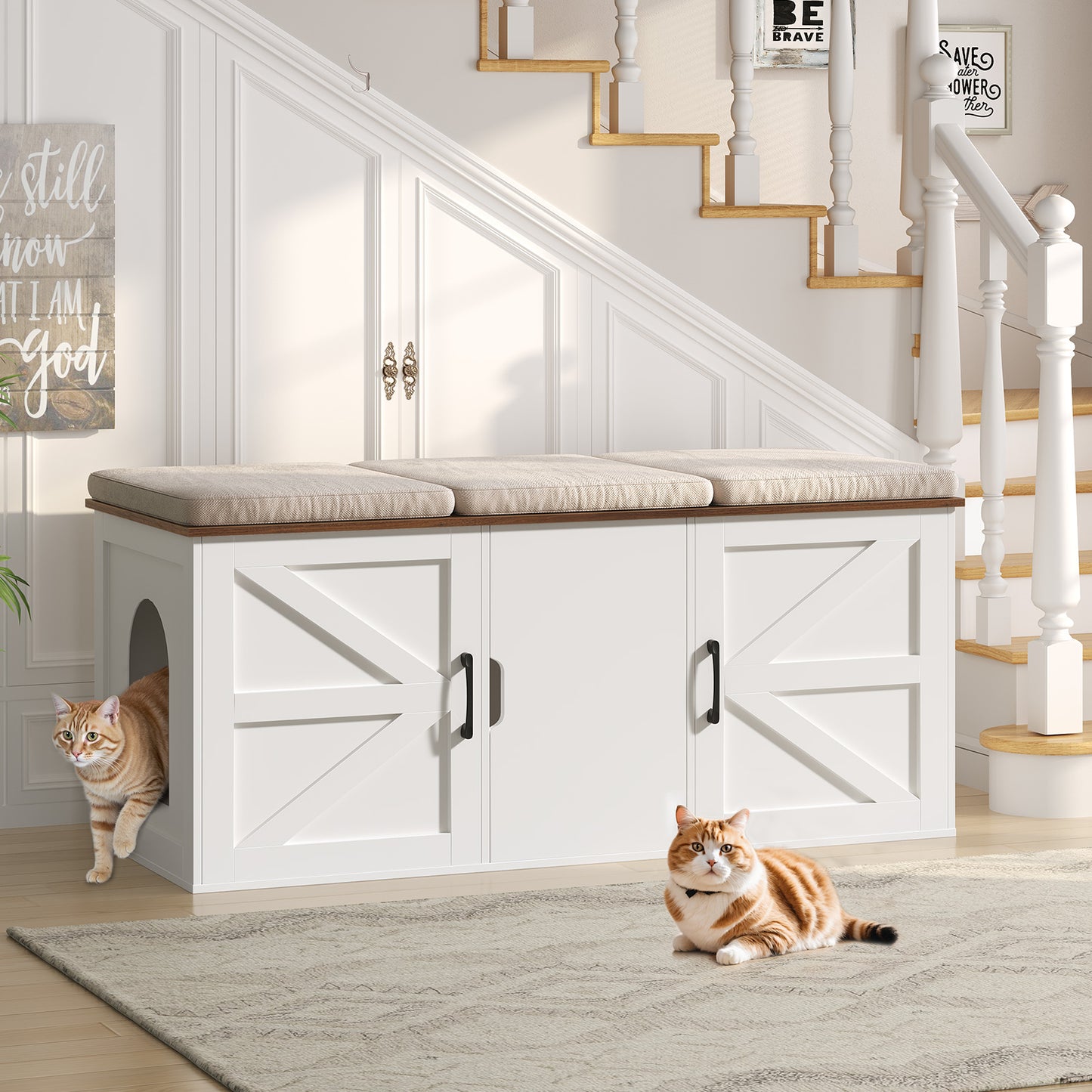 white cat house for two cats